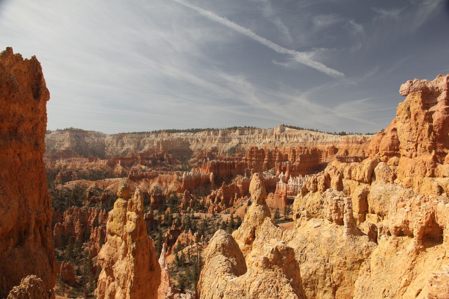 Queens/Navajo 